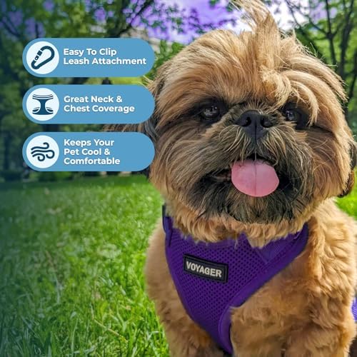 Voyager Step-in Lock Dog Harness - Image 3
