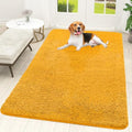 OLANLY Dog Door Mat for Muddy Paws 59x35, Super Absorbent Chenille Mud Mat by OLANLY