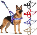 No Pull Dog Harness and Leash Set by Unknown