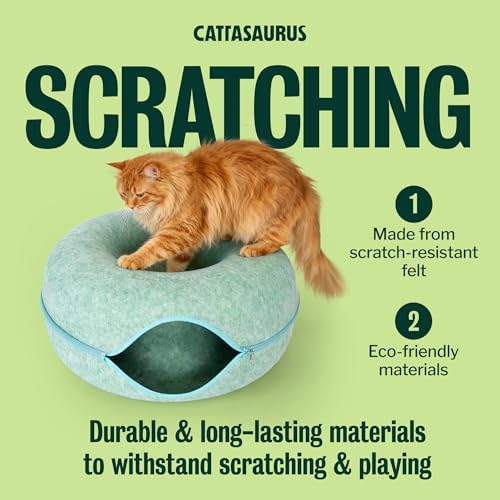 Cattasaurus Peekaboo Cat Cave Donut - Image 2