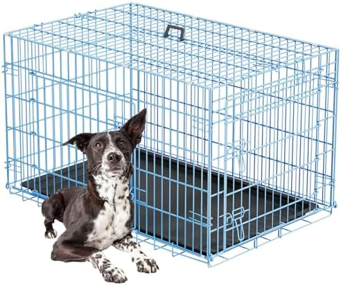 FDW | 42" Foldable Metal Dog Crate | Blue | Cage by FDW