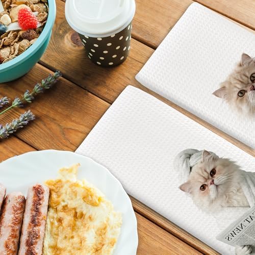 Cat Kitchen Towels Decor Set of 2 - Image 4