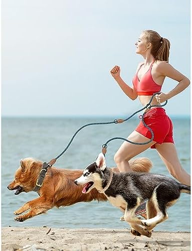 Mile High Life Double Dog Leash - Image 2