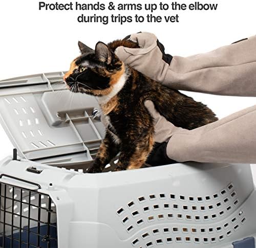 PetFusion Multipurpose Pet Glove - Image 5