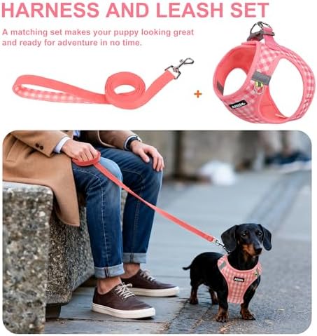 AIITLE Step in Medium Dog Harness and Leash Set, Pet Vest, Watermelon L - Image 3