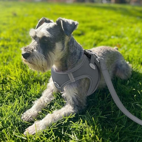Joytale Step-in Dog Harness, Soft Breathable Mesh - Image 2