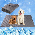 Paw Legend Dog Cooling Mat for Dogs 22" x 28", Pet Cooling Pad Blanket for Dogs by PawLegend