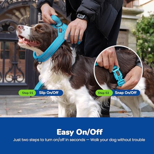 Didog No Pull Dog Harness for Small Dogs, Breathable Mesh Padded - Image 4