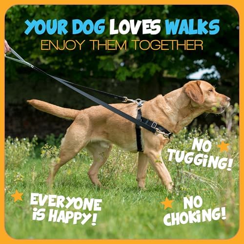 2 Hounds Design Freedom No Pull Dog Harness and Leash - Image 5
