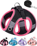 Dog Harness for Small Medium Sized Dog, Step in Puppy Harness and Leash Set by Aecllcea