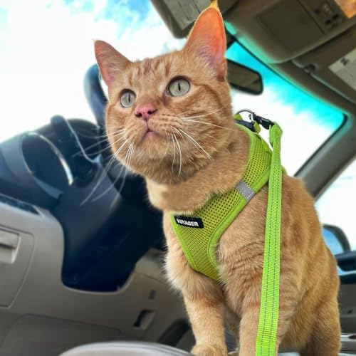 Voyager Step-in Air Cat Harness & Leash Set - Image 7
