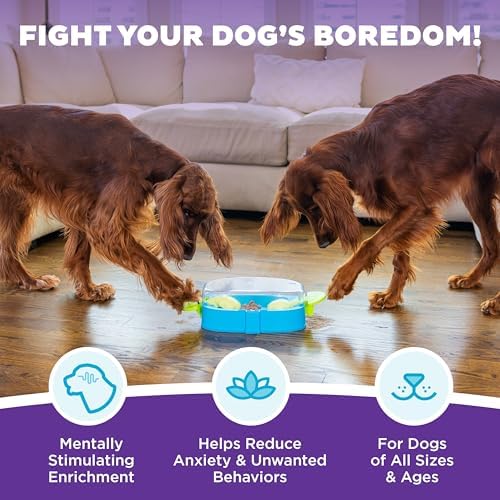 Outward Hound Nina Ottosson Paw N' Play Dog Toy Treat Puzzle - Image 2