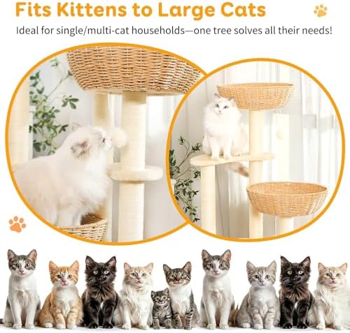 52-Inch Modern Cat Tree for Large Cats - Image 2