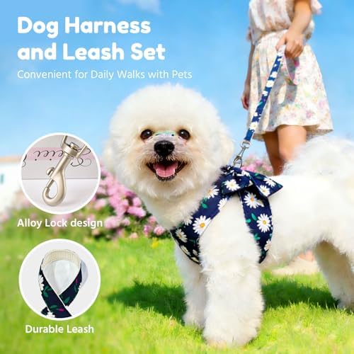 BAEJMJK Dog Harness and Leash Set - Image 7