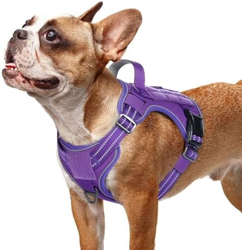 rabbitgoo Tactical Dog Harness for Small Dogs, No Pull Service Pet Vest by rabbitgoo