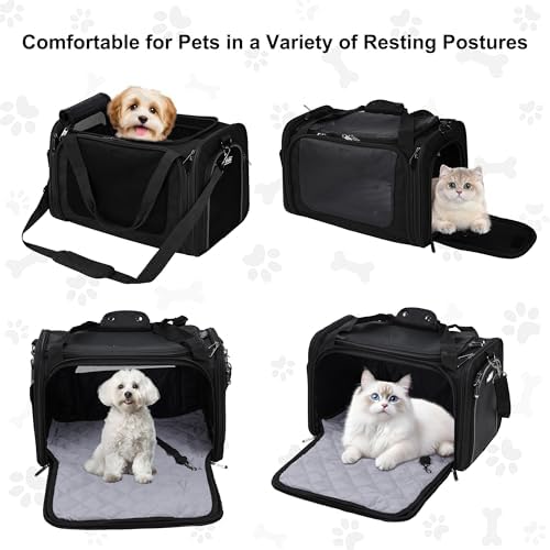 EliteField Deluxe Soft Pet Carrier - Image 2