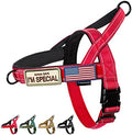 Annchwool No Pull Dog Harness by Annchwool