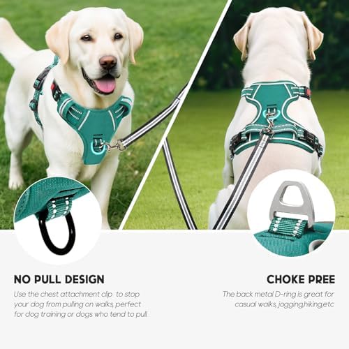 Timos Dog Harness Medium Sized, Quick Release 3 Buckles, Grass Green - Image 5