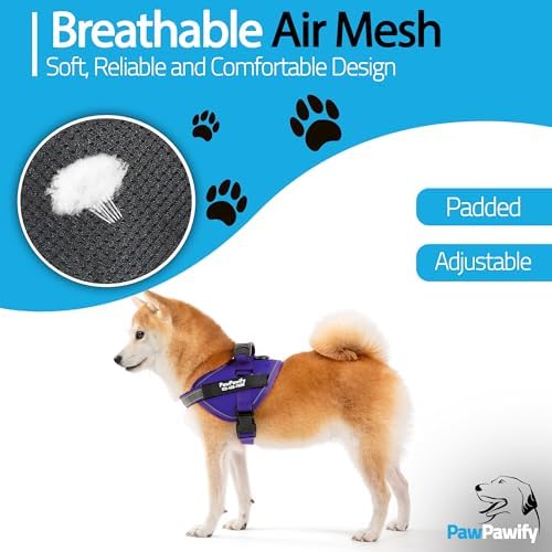 Custom No Pull Dog Harness - Image 4