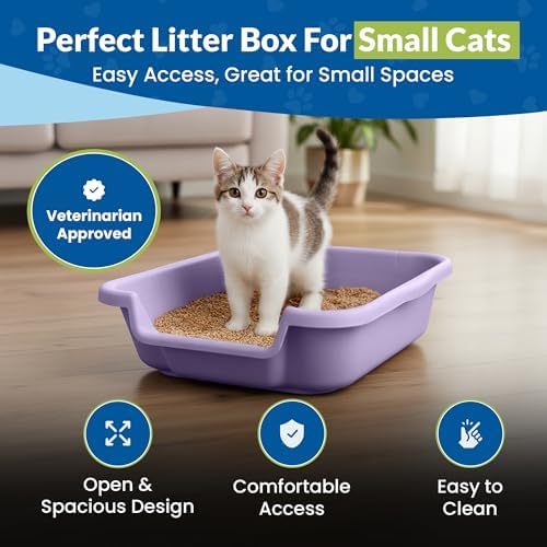 KittyGoHere Senior Cat Litter Box Small - Image 2