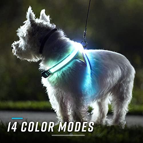 noxgear LightHound Light Up Reflective Dog Harness and Leash - Image 6