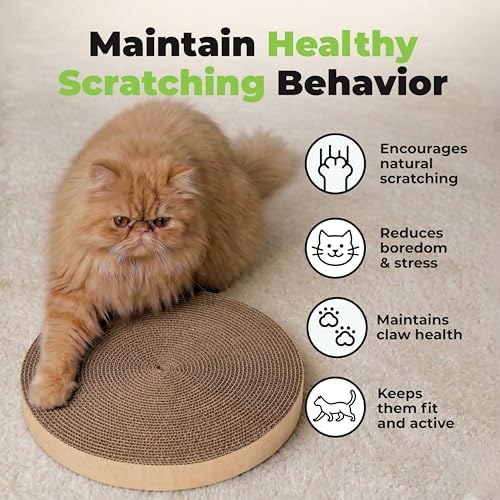 Catify Spin n' Scratch Cat Scratch Pad Refill - Image 6