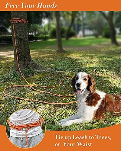 Long Rope Leash for Dog Training 16FT 30FT 50FT 100FT, Reflective Threads Check - Image 6
