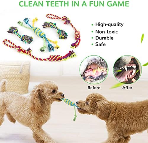 LEGEND SANDY Puppy Toys, Squeaky Dog Toys - Image 5