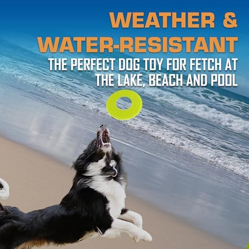 Nerf Dog Atomic Flyer Outdoor Dog Toy, 10 Inch Flying Disc Dog Fetch Toy - Image 3