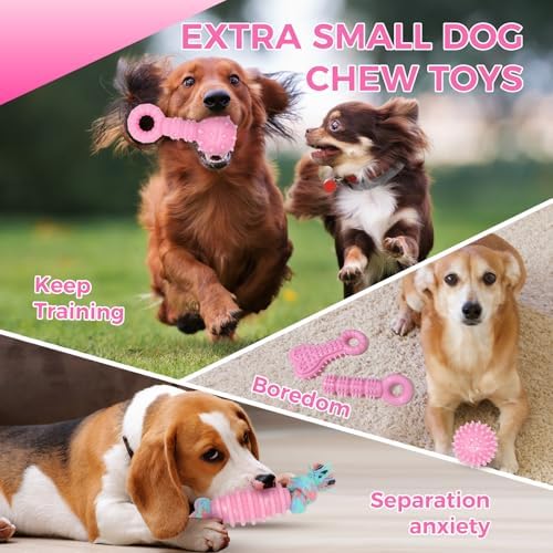 Puppy Toys, 9 Pack Dog Chew Toys, Teething Toys - Image 5