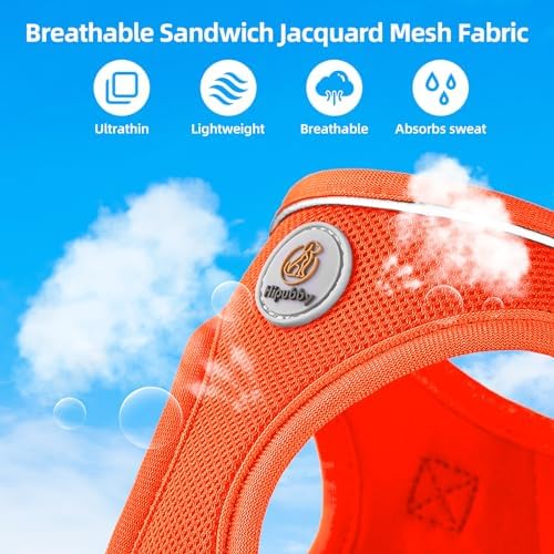 Hipubby Dog Harness and Leash Set, No Pull Soft Mesh Puppy Harness - Image 4