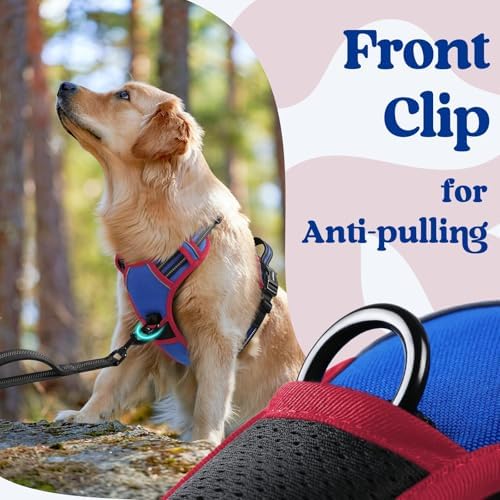 rabbitgoo Dog Harness Medium Sized, Updated Easy On & Off - Image 6