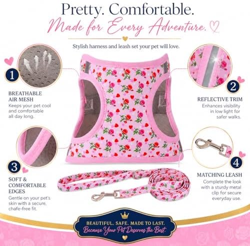 Step in Valentine's Day Dog Harness Leash Set- All Weather Reflective No-Pull - Image 2