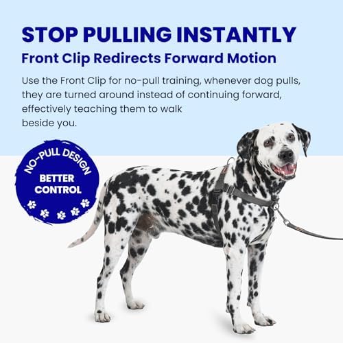 No Pull Dog Harness Front Clip, Medium/Large - Image 2
