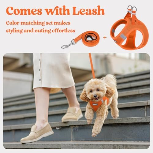 rabbitgoo Dog Harness Small Sized and Leash Set, Step-in Puppy Pet Vest - Image 5