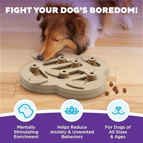 Outward Hound by Nina Ottosson Dog Hide N' Slide Treat Puzzle Enrichment Toy - Image 2