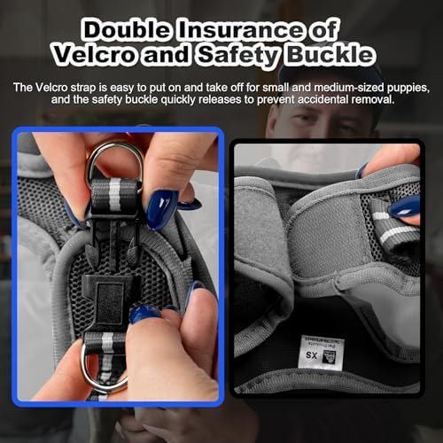 Dog Harness Medium Sized Dogs, Puppy Harness and Leash Set - Image 2