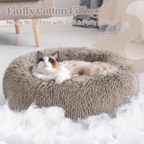 rabbitgoo Calming Cat Beds for Indoor Cats, 20 inches - Image 3