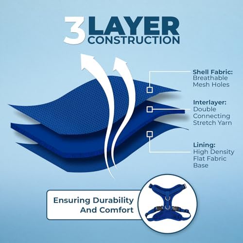 Voyager Step-in Lock Cat Harness & Leash Set - Image 4