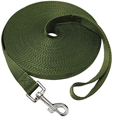Nylon Training Dog Leash for Small Medium Large Dogs, 15ft 20ft 30ft 50ft Long by FancyCorgi