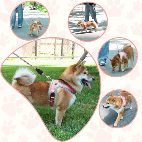 Dog Harness and Leash Set, No Pull Saddle Style Pet Harness, Breathable Mesh - Image 6