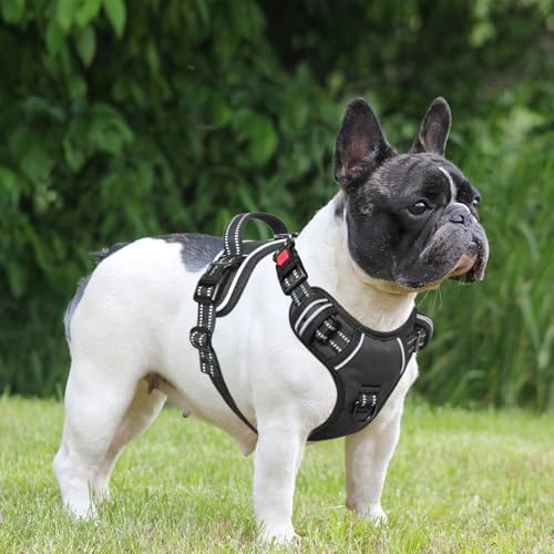 Timos Dog Harness Small Sized, Neck Quick Release - Image 6