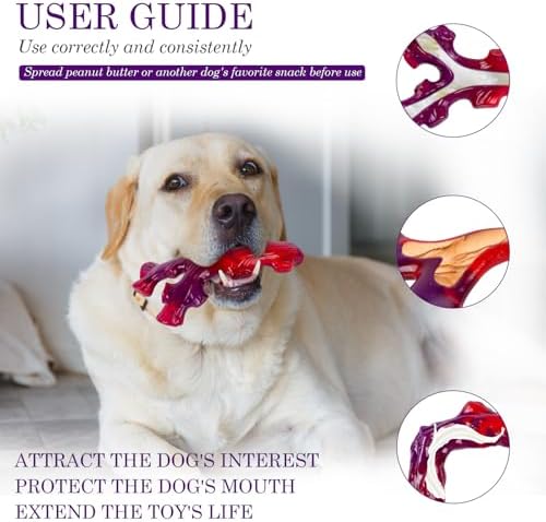 Frienhund 6-Pack Indestructible Dog Toys - Image 2