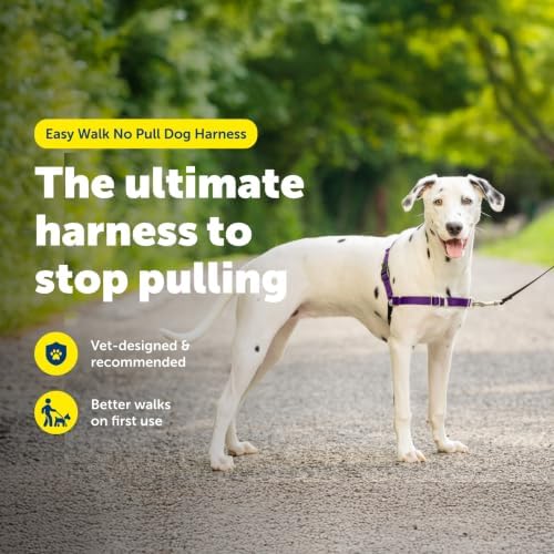 PetSafe Easy Walk Harness, No Pull Dog Harness, Medium/Large - Image 2