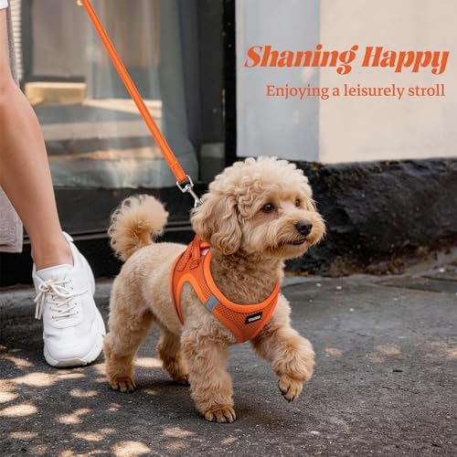 No Pull Dog Puppy Harness and Leash Set Reflective Mesh Vest X-Small - Image 6