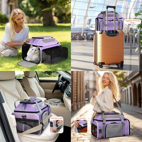 Petskd Top and Side Expandable Pet Carrier Airline Approved - Image 7