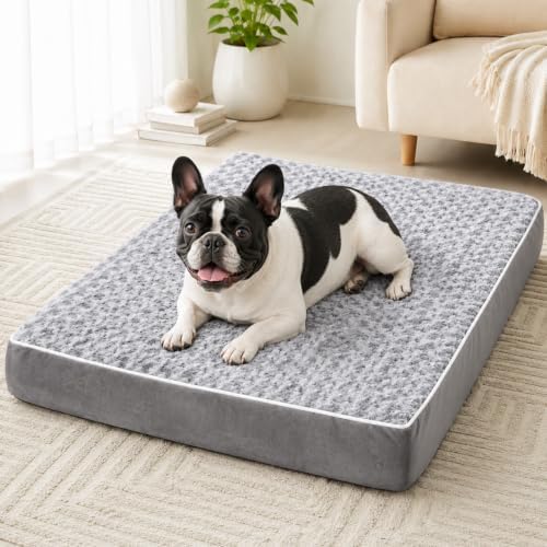 WNPETHOME Orthopedic Washable Dog Beds Medium Sized Dog to Sleep Cozy by WNPETHOMEPETSHOME
