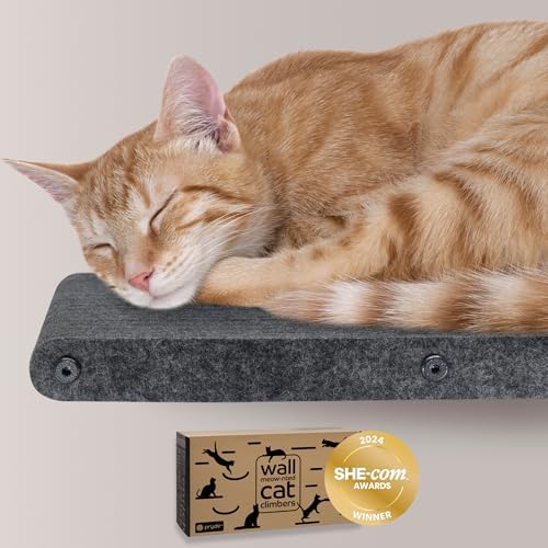 Cat Wall Shelf - Indoor & Outdoor by Pryde Pets by PrydePets