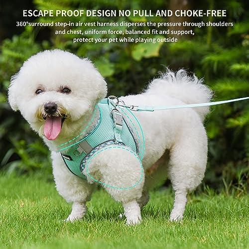AIITLE Dog Harness and Leash Set - Image 4