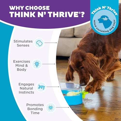 Outward Hound Nina Ottosson Paw N' Play Dog Toy Treat Puzzle - Image 6